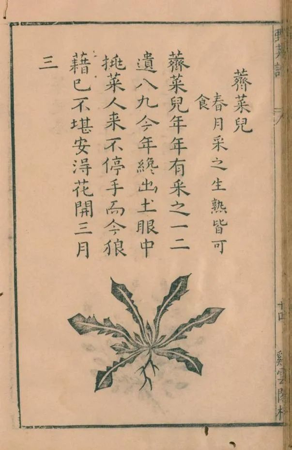 野菜3.jpg 野菜3.jpg