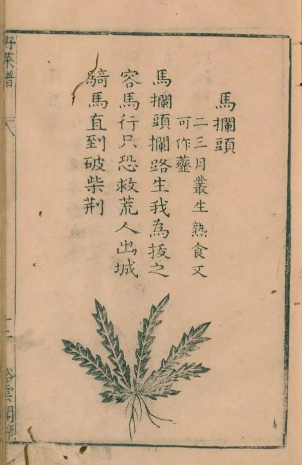 野菜4.jpg 野菜4.jpg