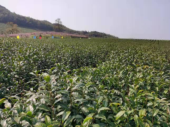 972ea0c29da24e9e1c84cd1923363ab.jpg 972ea0c29da24e9e1c84cd1923363ab.jpg