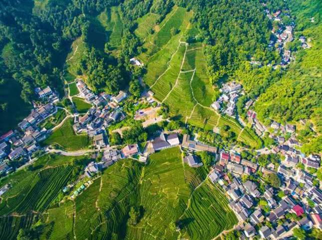 e17677d21fc16c338eddcf94518b295.jpg e17677d21fc16c338eddcf94518b295.jpg