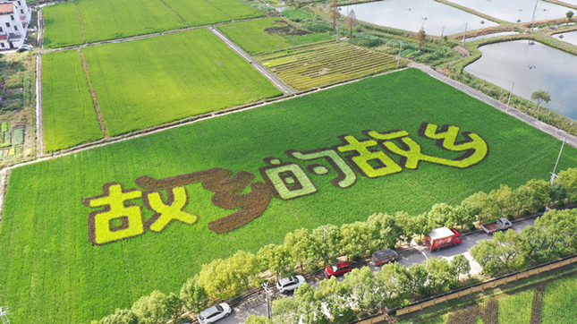 内 1d7259e500_副本.jpg 内 1d7259e500_副本.jpg