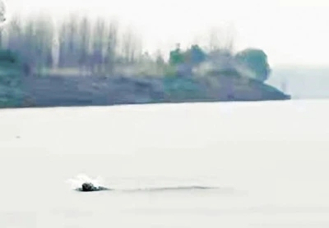 641001.jpg 641001.jpg