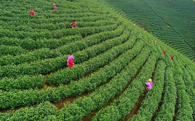 内 adf64884_副本.jpg 内 adf64884_副本.jpg