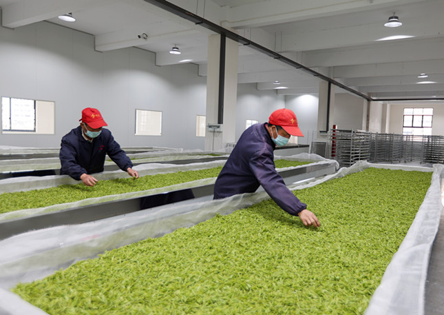 内 26e29ba6171b_副本.jpg 内 26e29ba6171b_副本.jpg