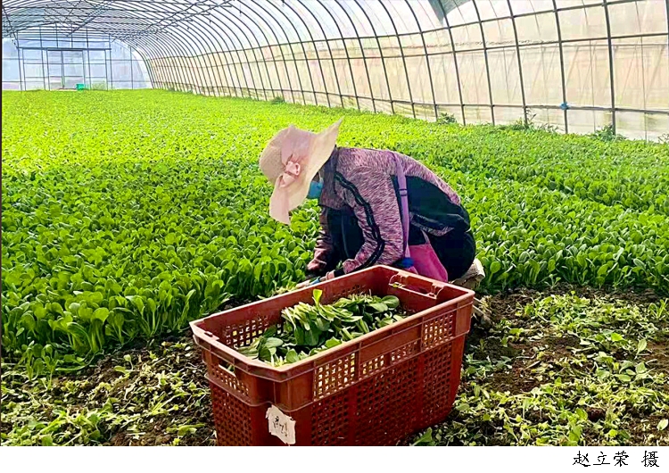 3303178_w750.jpg 3303178_w750.jpg