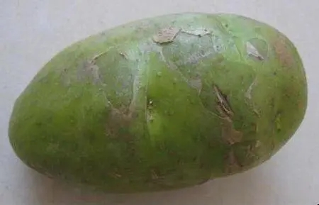 微信图片_20220415152440.png 微信图片_20220415152440.png