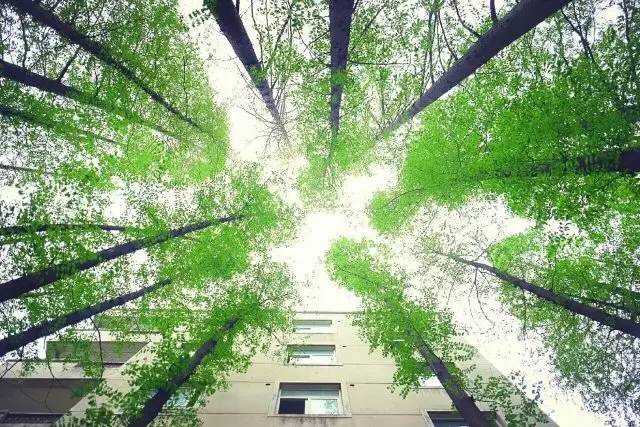 上海师范大学4.jpg 上海师范大学4.jpg