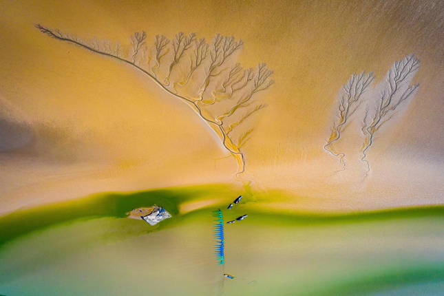 微信图片_20220610153419.png 微信图片_20220610153419.png