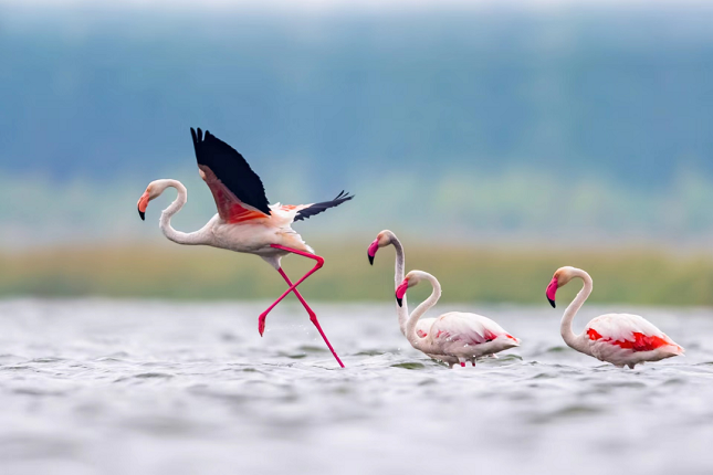 微信图片_20220610153439.png 微信图片_20220610153439.png