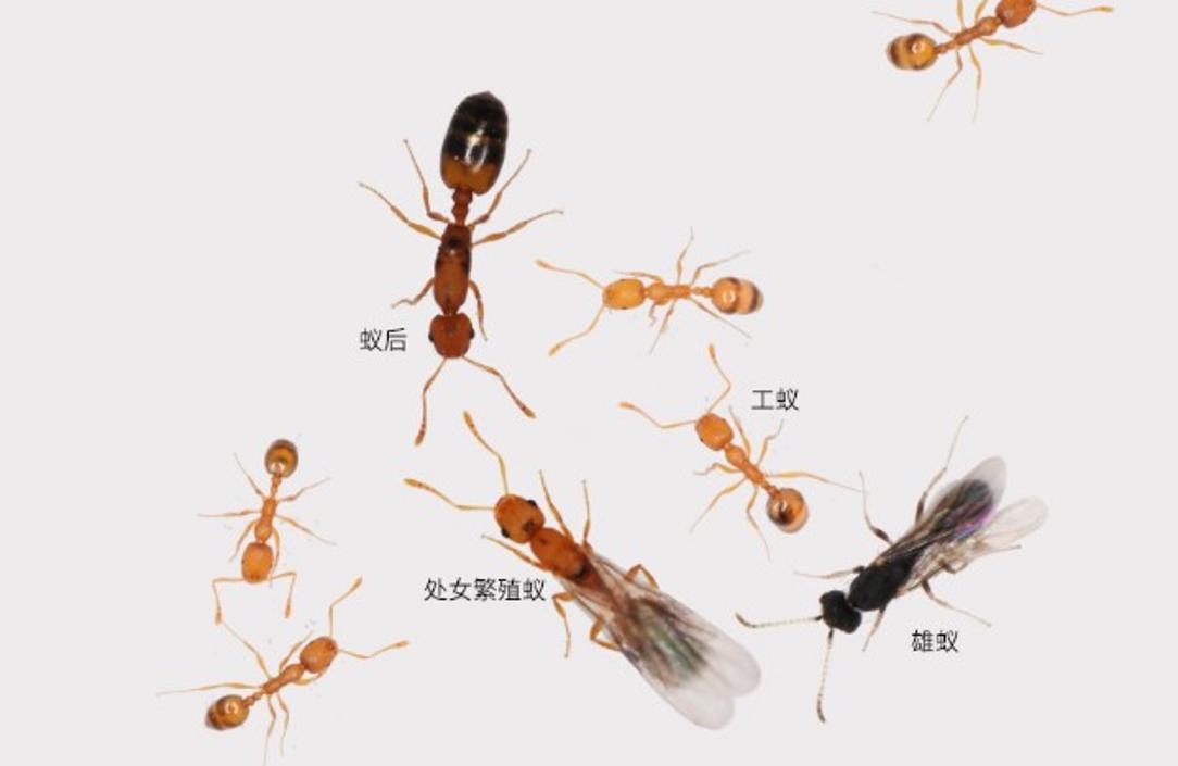 文汇网-上海文汇报