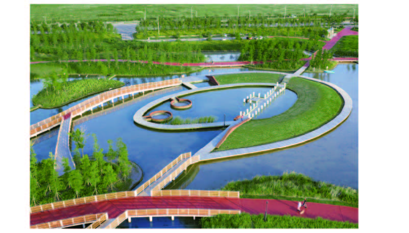 资源 3@800x-20.jpg