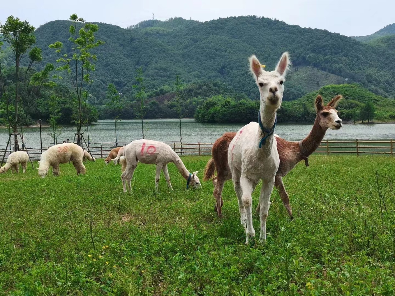 图片2.jpg 图片2.jpg