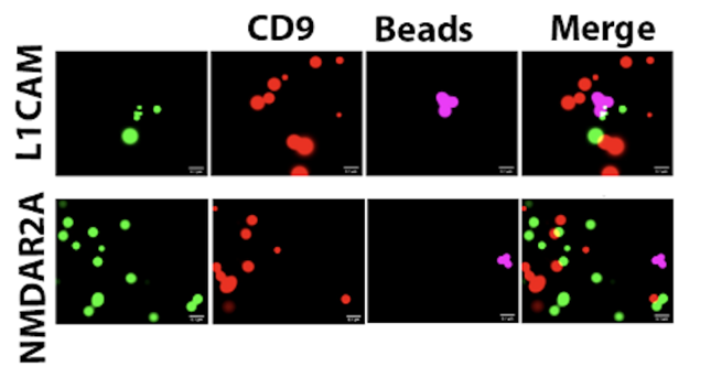 nei 4141331_副本.png nei 4141331_副本.png