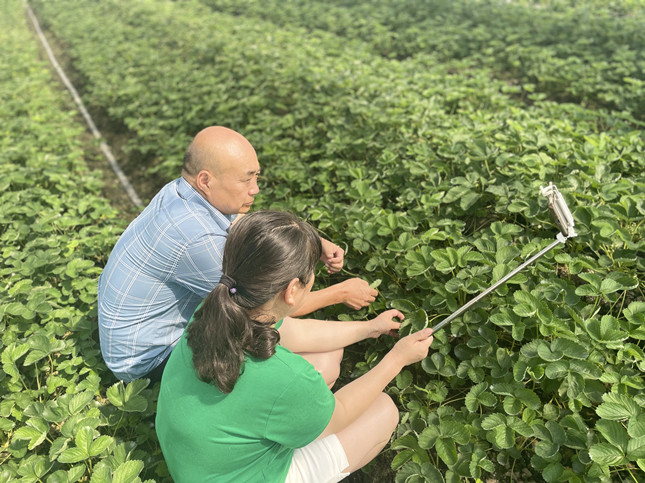 nei 0357598_副本.jpg nei 0357598_副本.jpg