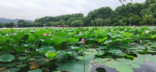 内 394849491_副本.jpg 内 394849491_副本.jpg