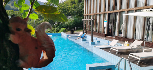 内 f074af4f1eeb4136f5_副本.jpg 内 f074af4f1eeb4136f5_副本.jpg