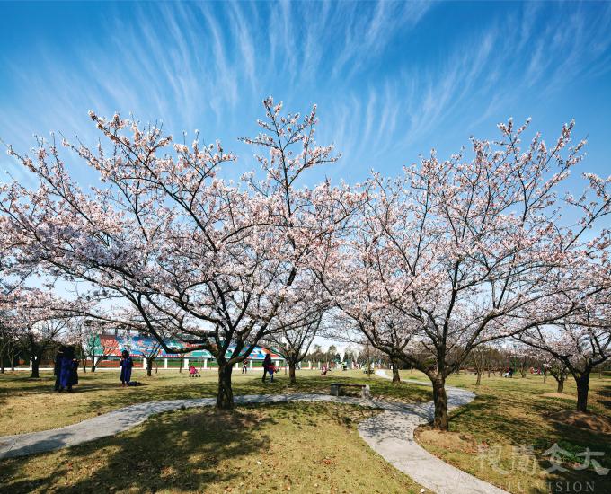 上海交大.jpg 上海交大.jpg