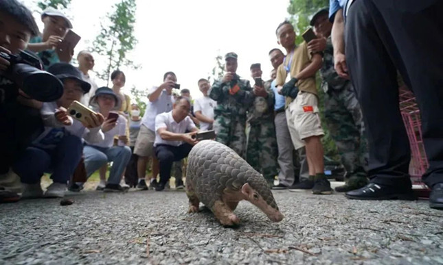 nei 15141001_副本.jpg nei 15141001_副本.jpg