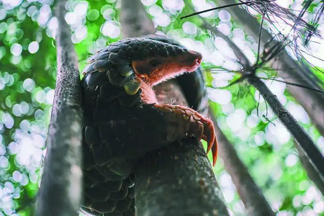 nei 141045_副本.jpg nei 141045_副本.jpg