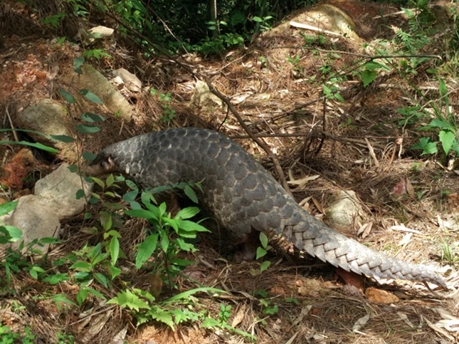 nei 141436_副本.png nei 141436_副本.png