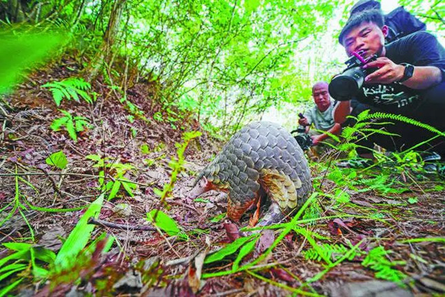 nei 5141312_副本.jpg nei 5141312_副本.jpg