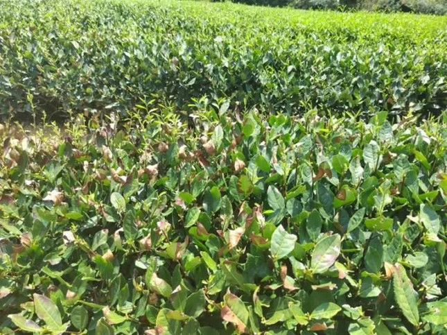 nei 113027_副本.jpg nei 113027_副本.jpg