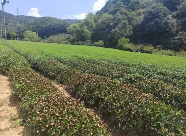 ne i 113134_副本.jpg ne i 113134_副本.jpg