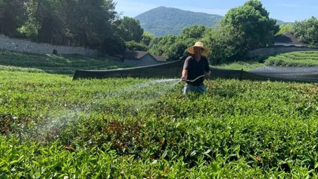 nei 4113502_副本.jpg nei 4113502_副本.jpg