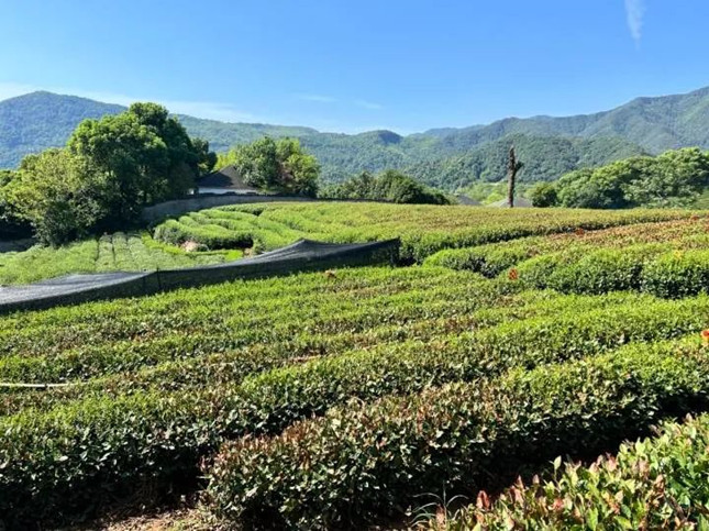 nei 4113540_副本.jpg nei 4113540_副本.jpg