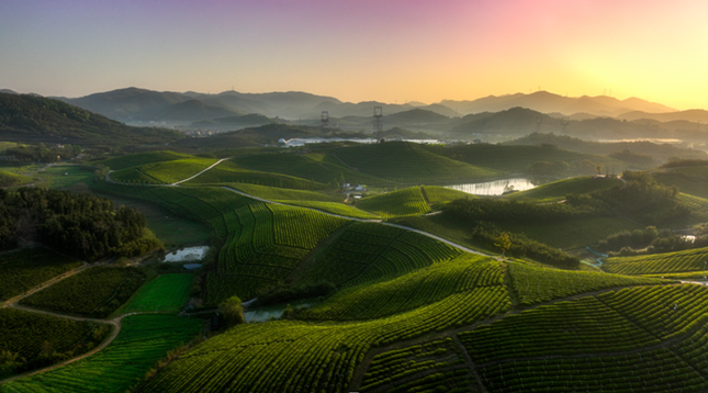 内 0143643_副本.png 内 0143643_副本.png