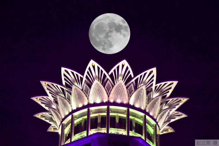 big (4).jpg big (4).jpg