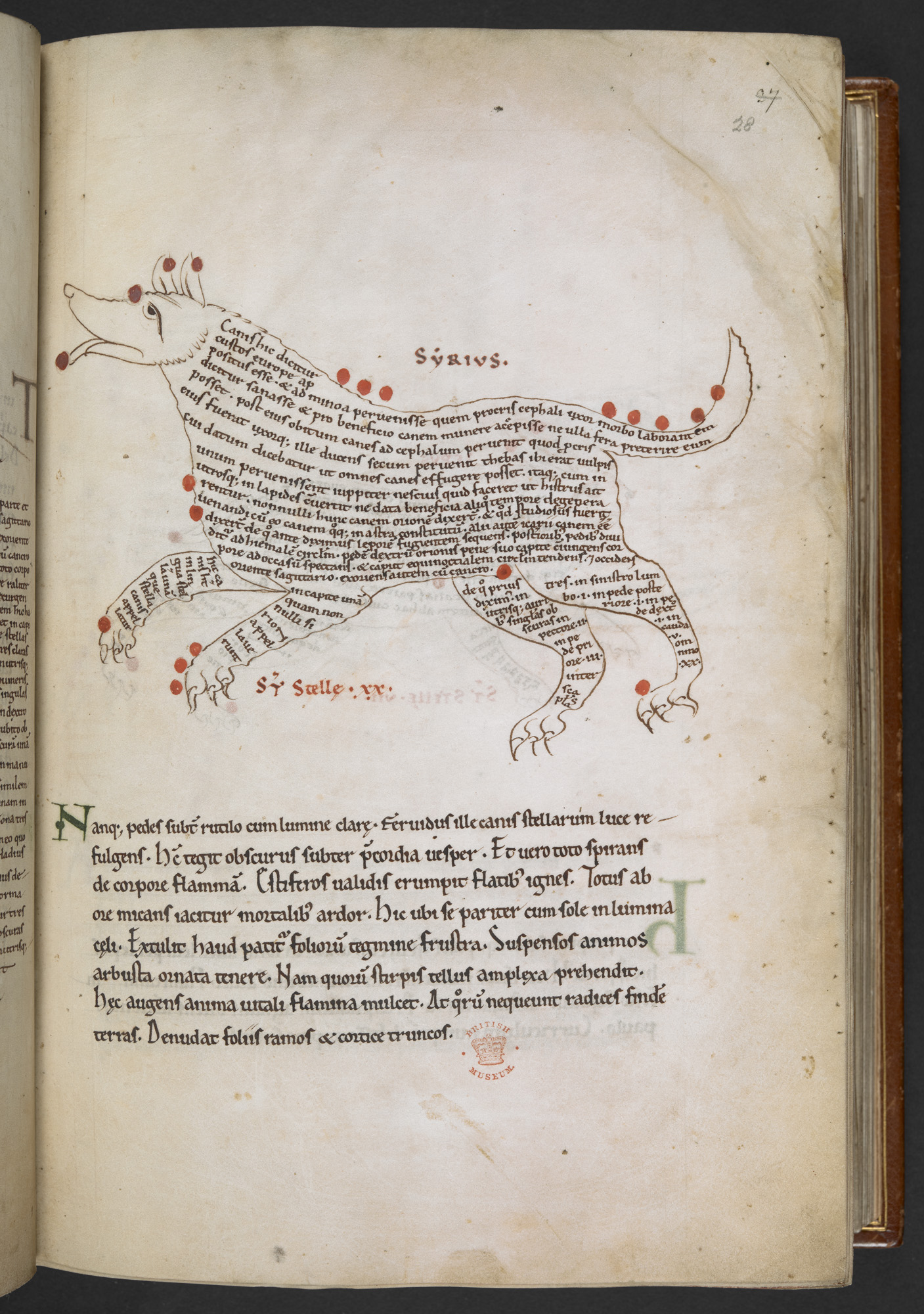 大犬 天狼(5674881)-20220913145200.jpg 大犬 天狼(5674881)-20220913145200.jpg