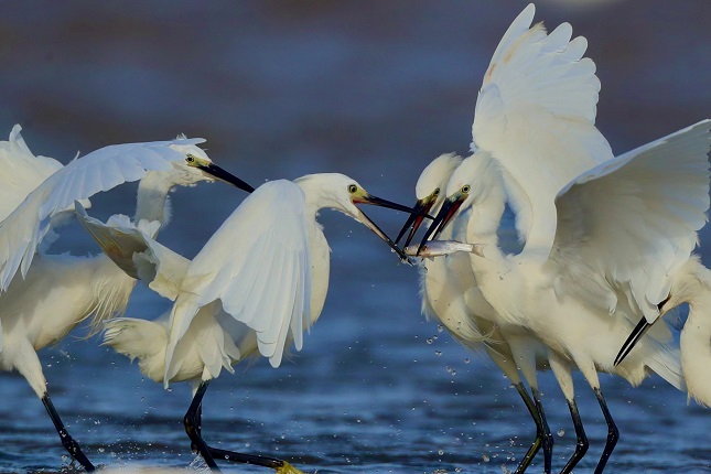 媒体1.jpg 媒体1.jpg