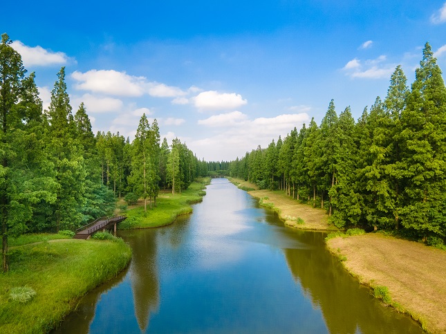 媒体2.jpg 媒体2.jpg