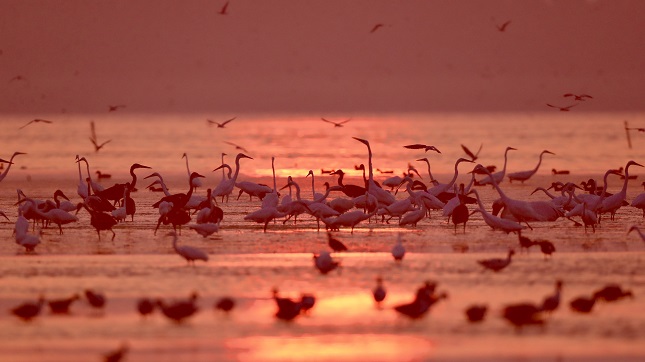 媒体5.jpg 媒体5.jpg