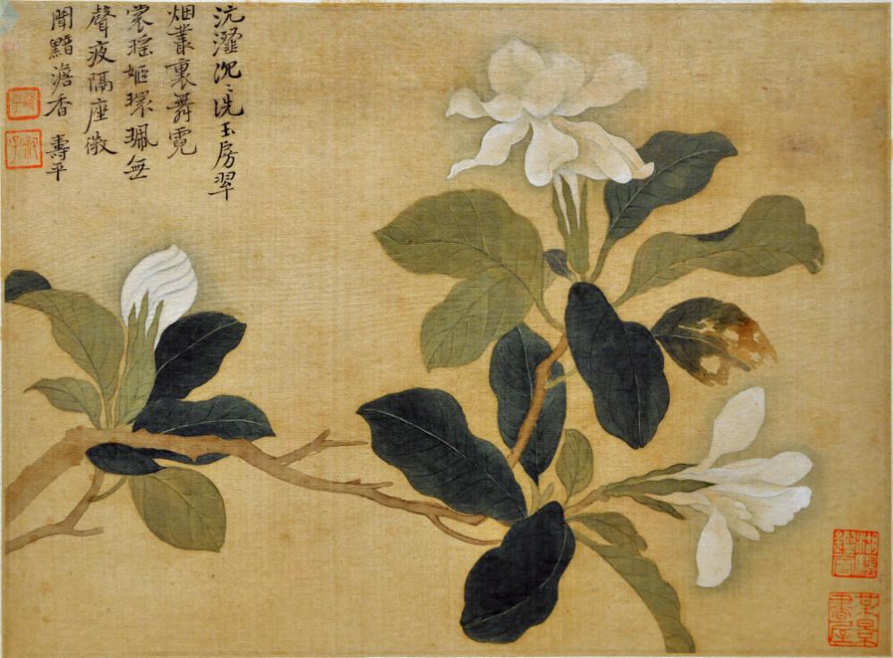 (学人9.24)栀子花何以从江南走向世界(5730808)-20220926151604.jpg (学人9.24)栀子花何以从江南走向世界(5730808)-20220926151604.jpg