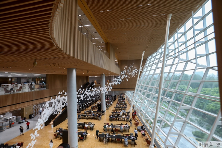 big (2).jpg big (2).jpg