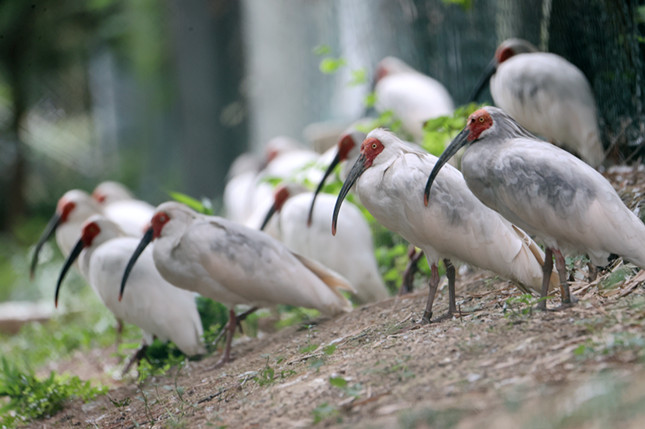 nei 7d57bb1e5b6_副本.jpg nei 7d57bb1e5b6_副本.jpg