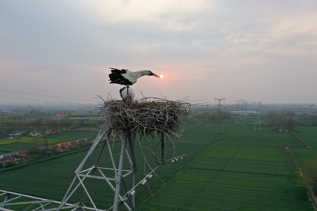 摄影1.jpg 摄影1.jpg