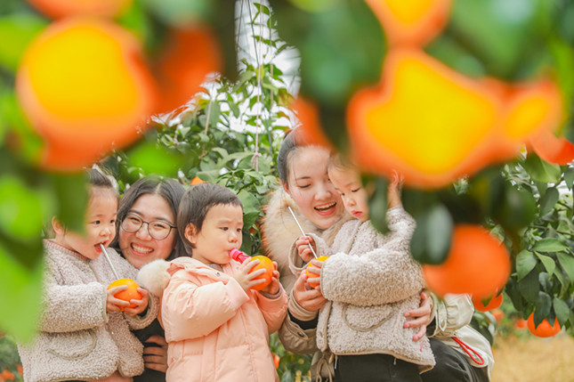 nei 3fe3d3fd7e016836_副本.jpg nei 3fe3d3fd7e016836_副本.jpg