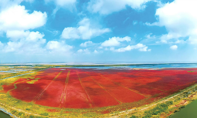 微信图片_20220610153206.png 微信图片_20220610153206.png