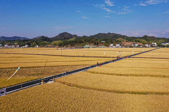 内 623d4280b12730c5_副本.jpg 内 623d4280b12730c5_副本.jpg