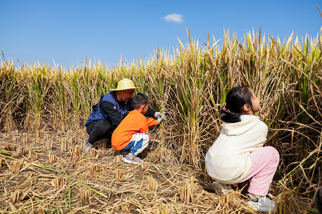 内 533f41ca09cd255_副本.jpg 内 533f41ca09cd255_副本.jpg