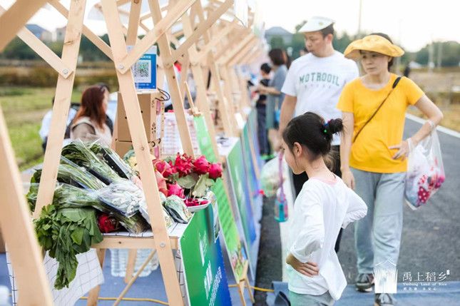 内 fc3444e4fa549423_副本.jpg 内 fc3444e4fa549423_副本.jpg