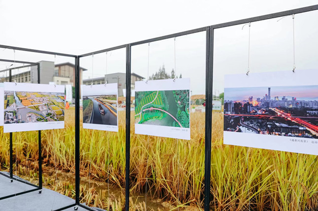 内 510039f88356bf_副本.jpg 内 510039f88356bf_副本.jpg