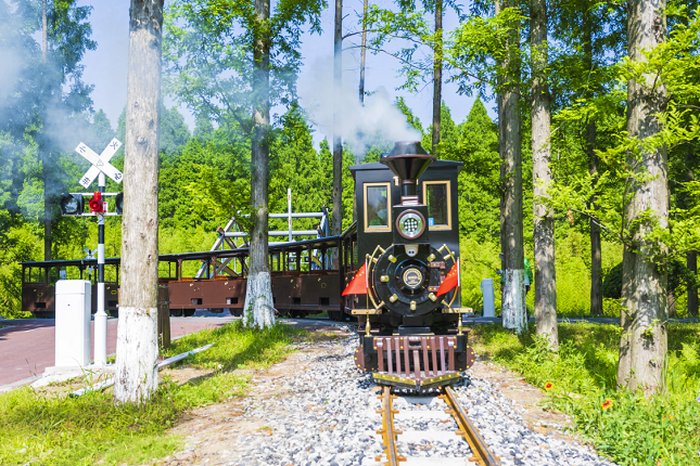 黄海森林3.png 黄海森林3.png