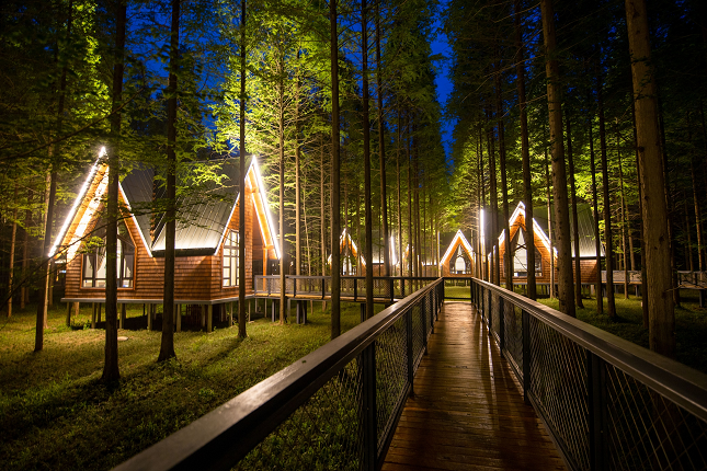 黄海森林4.png 黄海森林4.png