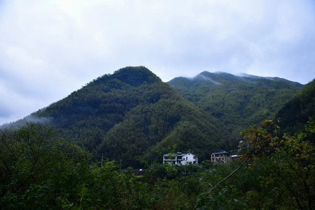 内 ea427758ac0d5408a_副本.jpg 内 ea427758ac0d5408a_副本.jpg