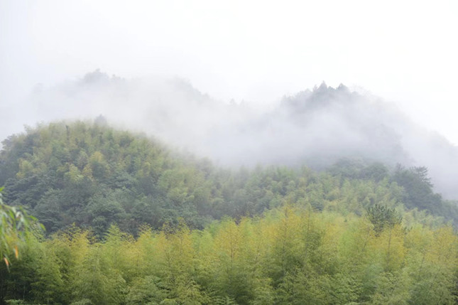 内 0ae626da74b3836f02_副本.jpg 内 0ae626da74b3836f02_副本.jpg