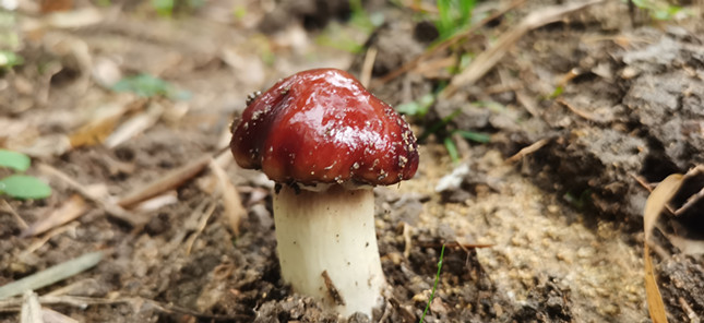 内 29daf6911272883a_副本.jpg 内 29daf6911272883a_副本.jpg